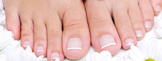 Qu'est-ce que le champignon de l'ongle